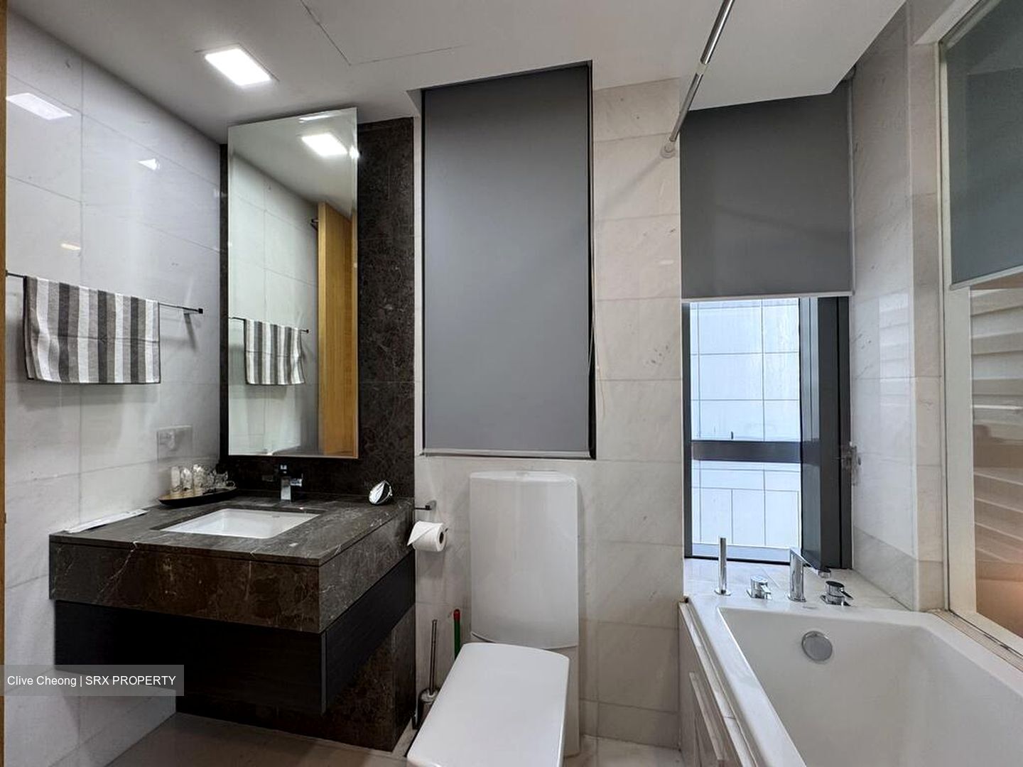 Concourse Skyline (D7), Apartment #498418901